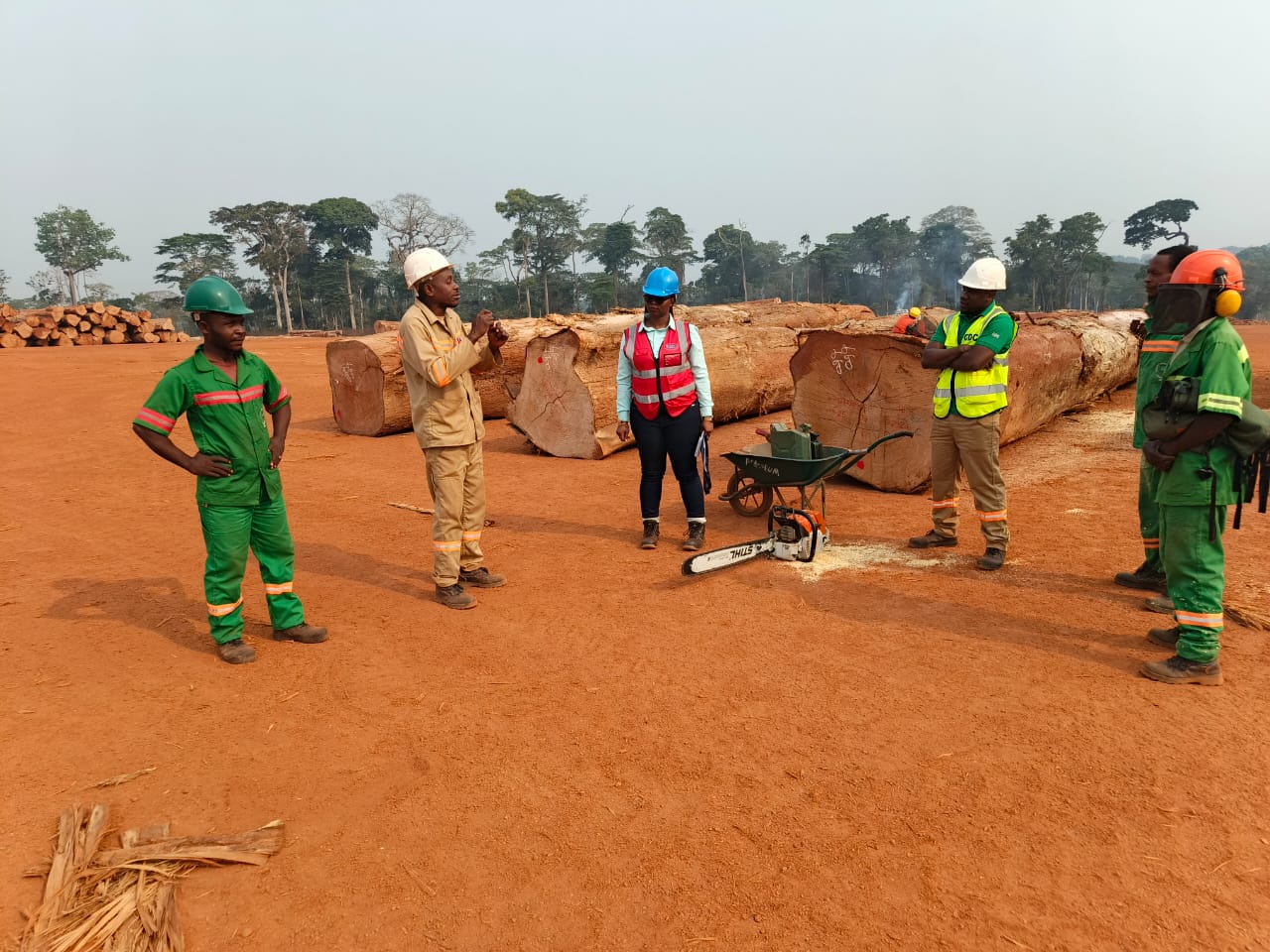 a809d013-f5ae-442d-9ec2-26989b75c26b